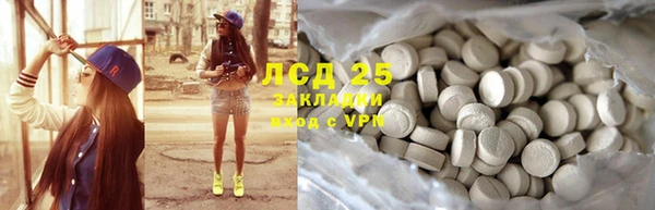 шишки Лагань