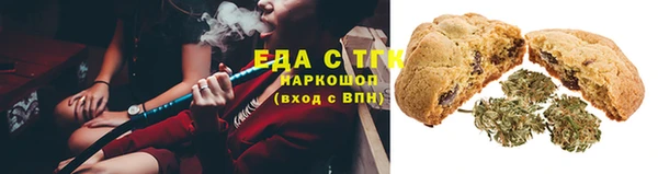 шишки Лагань
