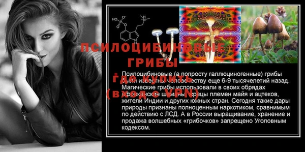 шишки Лагань